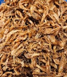 Spices and Condiments