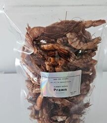 Jumbo size prawns