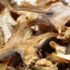 Stockfish ear
