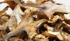 Stockfish ear